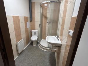 Pronájem bytu 1+kk, Třebíč, Riegrova, 39 m2