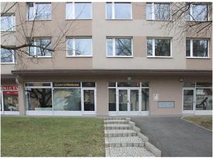 Pronájem bytu 2+kk, Praha - Nusle, Nuselská, 42 m2