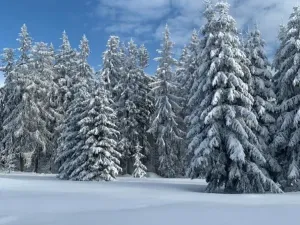 Prodej rodinného domu, Janské Lázně, Janská, 100 m2