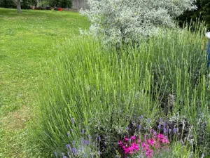 Prodej vícegeneračního domu, Černolice, Pod Hůrkou, 420 m2