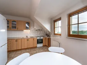 Pronájem obchodního prostoru, Mladá Boleslav - Mladá Boleslav I, Vodkova, 543 m2