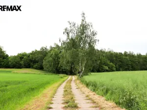 Prodej pozemku pro bydlení, Čejov - Hadina, 190028 m2