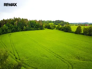Prodej pozemku pro bydlení, Čejov - Hadina, 190028 m2