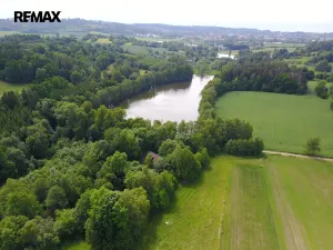 Prodej rybníku, Čejov - Hadina, 190028 m2