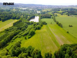 Prodej rybníku, Čejov - Hadina, 190028 m2