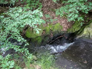 Prodej rybníku, Čejov - Hadina, 190028 m2