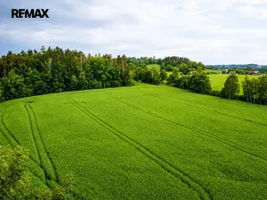 Prodej rybníku, Čejov - Hadina, 190028 m2