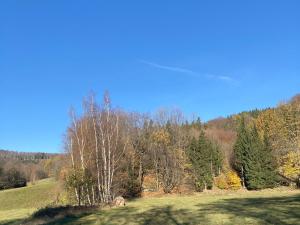 Prodej louky, Bílý Potok, 1957 m2