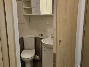 Pronájem bytu 1+kk, Praha - Vyšehrad, Neklanova, 22 m2