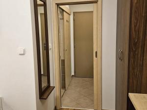 Pronájem bytu 1+kk, Praha - Vyšehrad, Neklanova, 22 m2