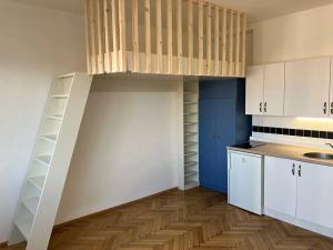 Pronájem bytu 1+kk, Praha - Vinohrady, Ondříčkova, 30 m2