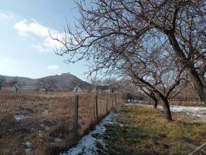 Prodej rodinného domu, Pavlov, Družstevní, 245 m2