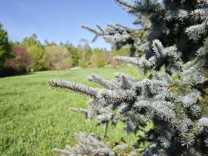Prodej pozemku pro bydlení, Velké Popovice, 2518 m2