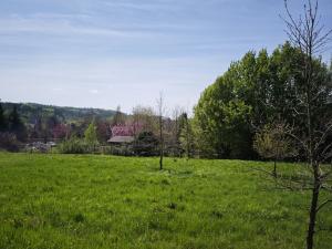 Prodej pozemku pro bydlení, Velké Popovice, 2518 m2