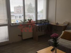 Pronájem bytu 1+kk, Nové Město nad Metují, Družstevní, 36 m2