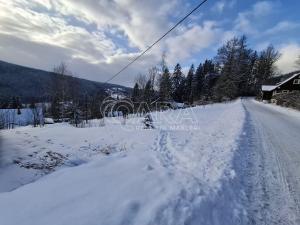 Prodej lesa, Albrechtice v Jizerských horách, 2926 m2