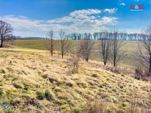 Prodej pozemku pro bydlení, Bílovec, 1. máje, 1298 m2