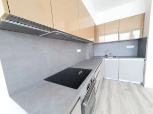 Pronájem bytu 3+kk, Praha - Nové Město, Na výtoni, 100 m2