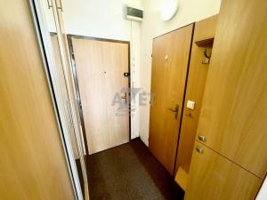 Pronájem bytu 1+kk, Orlová - Lutyně, F. S. Tůmy, 32 m2