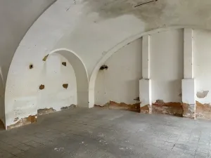 Pronájem skladu, Planá, Zámecká, 250 m2