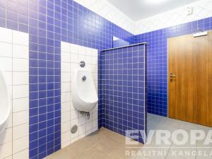 Pronájem ubytování, Havlíčkův Brod - Šmolovy, 200 m2