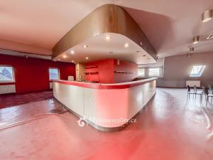 Pronájem obchodního prostoru, Znojmo - Oblekovice, Evropská, 230 m2