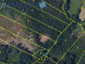 Prodej lesa, Vysočina, 26720 m2