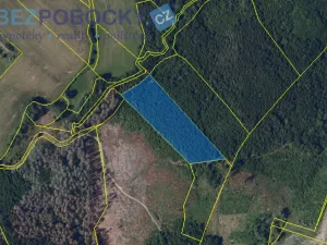 Prodej lesa, Vysočina, 26720 m2