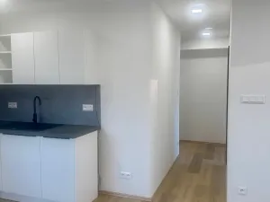 Prodej bytu 2+kk, Ostrava, Svojsíkova, 44 m2