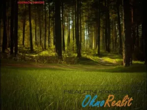 Prodej lesa, Křečkov, 339223 m2