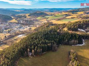 Prodej lesa, Malenice, 51224 m2