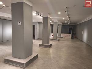 Pronájem obchodního prostoru, Olomouc, 28. října, 645 m2