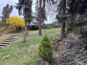 Prodej vícegeneračního domu, Praha - Libeň, Na Truhlářce, 670 m2