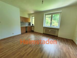 Pronájem bytu 1+kk, Ostrava - Poruba, Dělnická, 29 m2