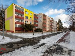 Pronájem bytu 1+1, Krnov, SPC A, 42 m2