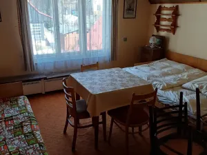 Prodej rodinného domu, Rokytnice nad Jizerou - Horní Rokytnice, Horní Rokytnice, 290 m2