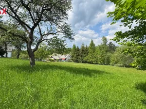 Prodej pozemku pro bydlení, Oskava - Třemešek, 1922 m2