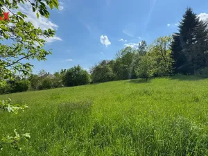 Prodej pozemku pro bydlení, Oskava - Třemešek, 1922 m2