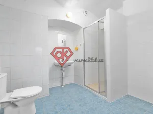 Prodej chalupy, Orličky, 663 m2