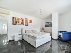 Pronájem bytu 3+kk, Drač,Albánie, 400 m2