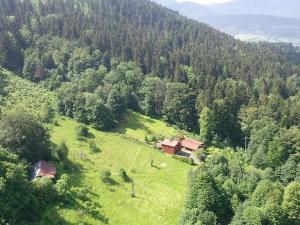 Prodej louky, Malenovice, 2904 m2