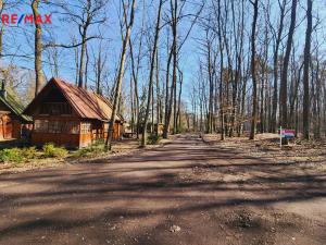 Prodej chaty, Třebechovice pod Orebem - Štěnkov, 44 m2