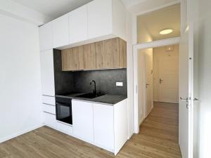 Prodej bytu 1+kk, Praha - Braník, Branická, 30 m2