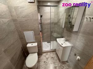 Pronájem bytu 1+1, Žatec, Družstevní, 38 m2
