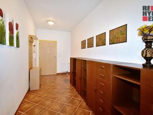 Pronájem bytu 1+kk, Liberec - Liberec IV-Perštýn, Lípová, 42 m2