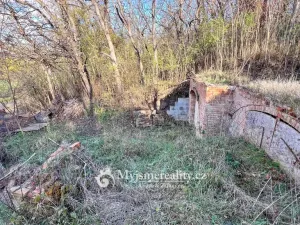 Prodej - jiné, Dyjákovičky, 226 m2