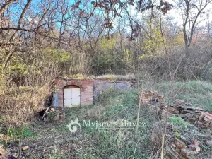 Prodej - jiné, Dyjákovičky, 226 m2