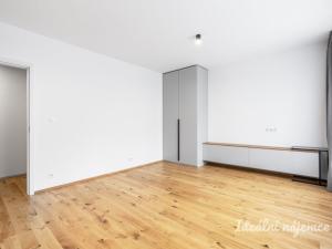Pronájem bytu 1+kk, Praha - Nusle, Závišova, 33 m2