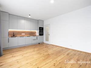 Pronájem bytu 1+kk, Praha - Nusle, Závišova, 33 m2
