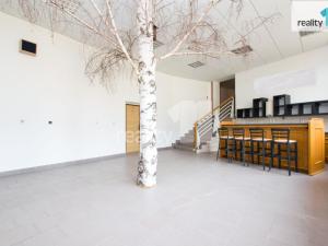 Pronájem kanceláře, Liberec - Liberec VII-Horní Růžodol, Jeronýmova, 20 m2